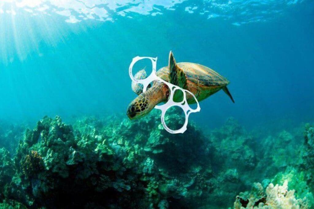 ¿Cómo afecta el plástico al medio ambiente?