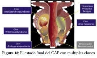 Estado Final del CAP