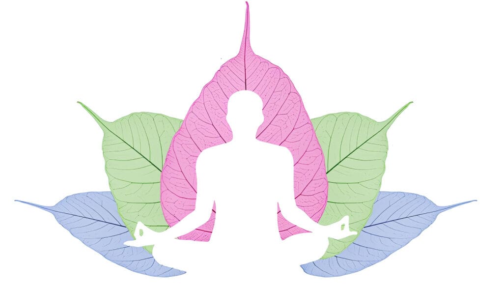 Todo sobre el Mindfulness
