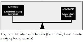 Balance de la vida