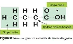 Fórmula química estándar de un Ácido Graso