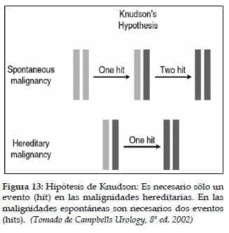 Hipótesis de Knudson