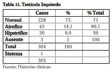 Testículo Izquierdo Testículo Izquierdo