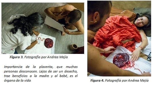 La importancia de la placenta