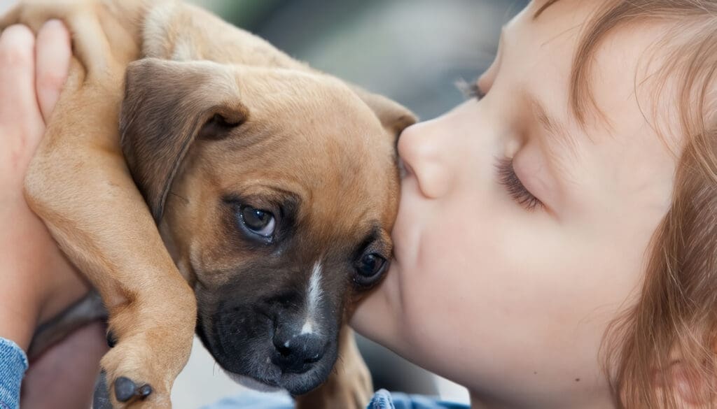 ¿Comprar o adoptar mascotas? ¿Qué es lo mejor?