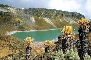 Andes colombianos