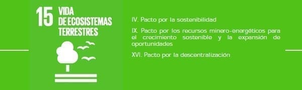 Vida de Ecosistemas Terrestres
