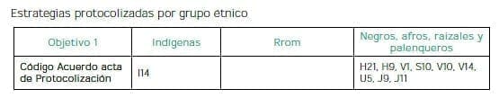 Protección con enfoque étnico y de género