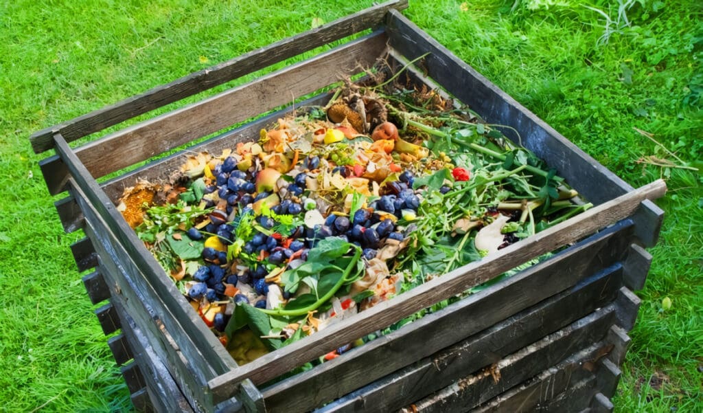 Compost o Composta: Guía práctica, usos y materiales