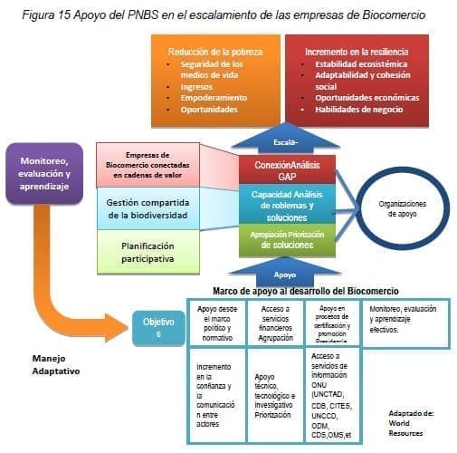Apoyo del PNBS en el escalamiento de las empresas de Biocomercio