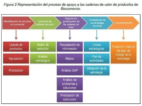 Cadenas de valor de productos de Biocomercio