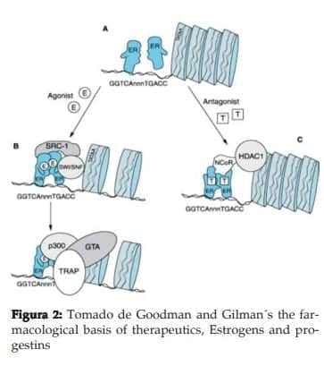 Estrogens and progestins