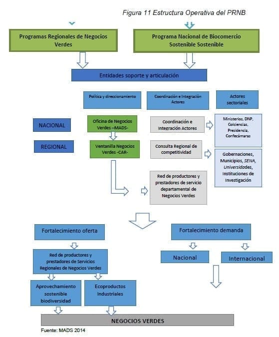 Estructura Operativa del PRNB Estructura Operativa del PRNB