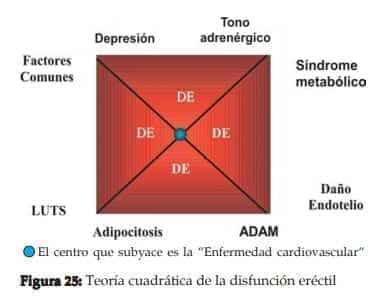 Teoría cuadrática de la disfunción eréctil
