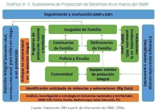 Subsistema de Protección de Derechos en el marco del SNBF