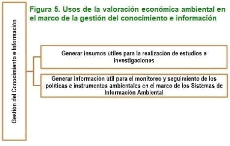Gestión del conocimiento e información