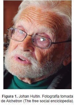 Johan Hultin