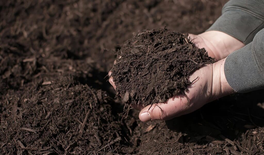 Mantillo: Características del Acolchado en la Agricultura