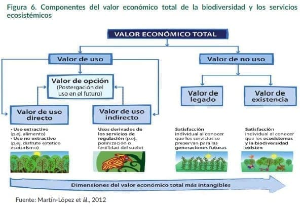 Valor Económico Total Valor Económico Total