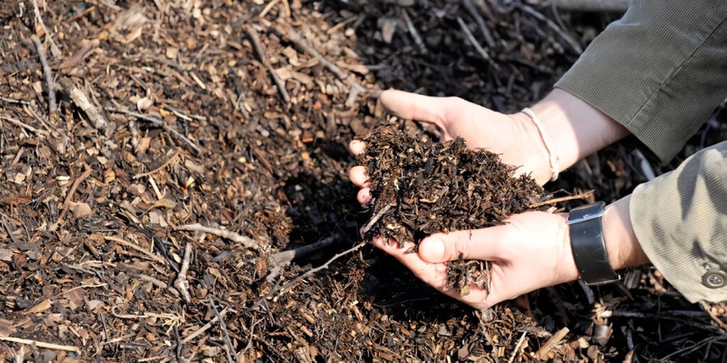 Estiércol (Fertilizante Orgánico)