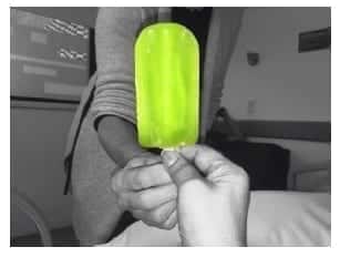 Paleta de vida