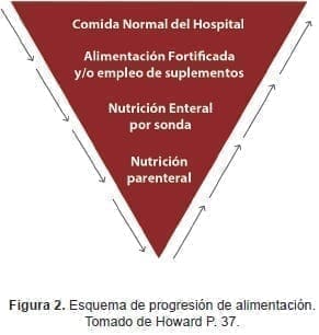 Esquema de progresión de alimentación COVID-19 