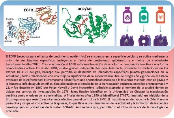 Receptor para el Factor de Crecimiento Epidérmico 