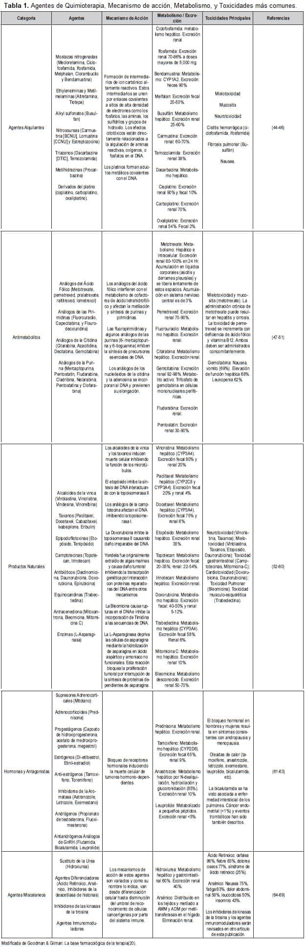 Agentes de Quimioterapia, Mecanismo de acción, Metabolismo, y Toxicidades más comunes.