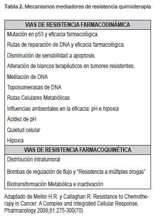 Mecanismos mediadores de resistencia quimioterapia