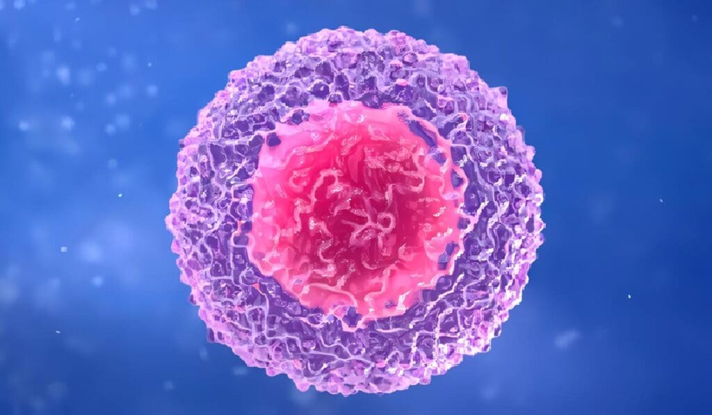 La Apoptosis Celular