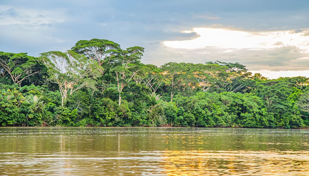 Amazonía colombiana