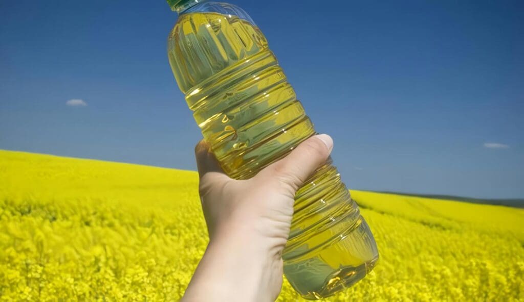 Aceite de colza: usos y propiedades