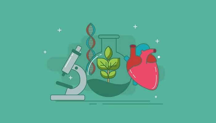 Biología: qué estudia y cuáles son sus especialidades