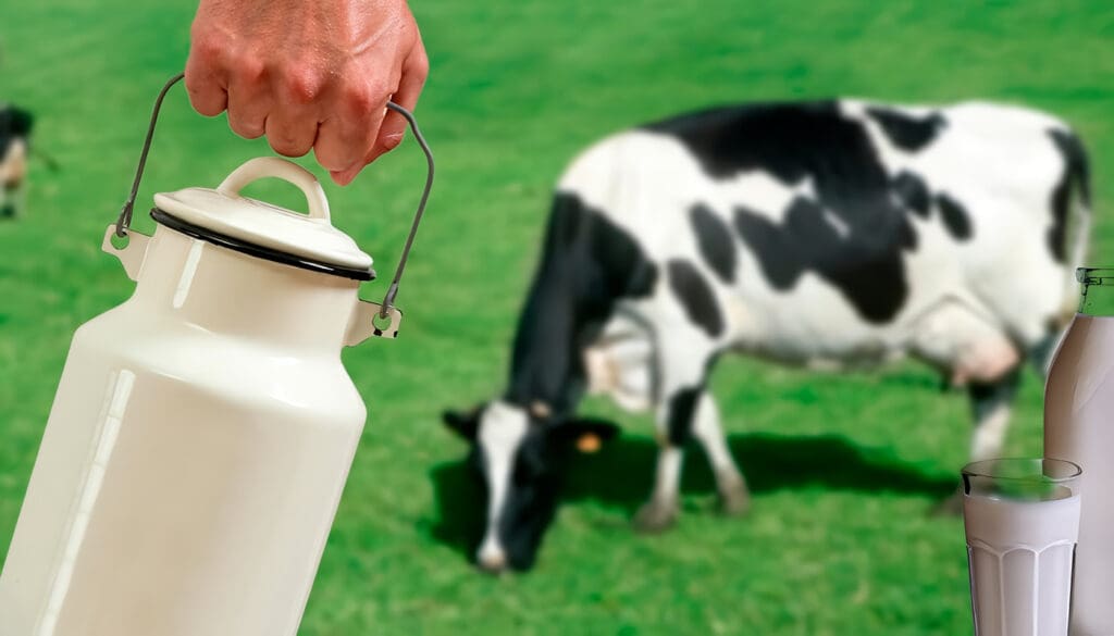 Qué es Pasteurización