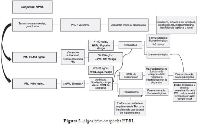 Algoritmo-sospecha HPRL
