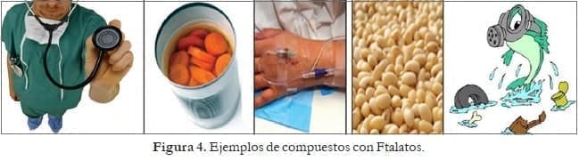 Ejemplos de compuestos con Ftalatos Ejemplos de compuestos con Ftalatos