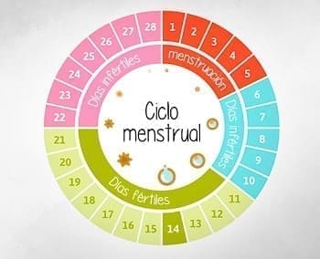 Ciclo de la Mujer