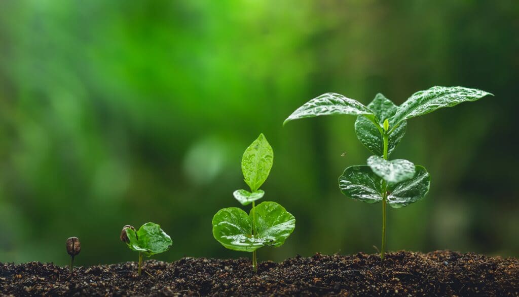 Botánica: Qué Es, Organismos de Estudio, Disciplinas y Más