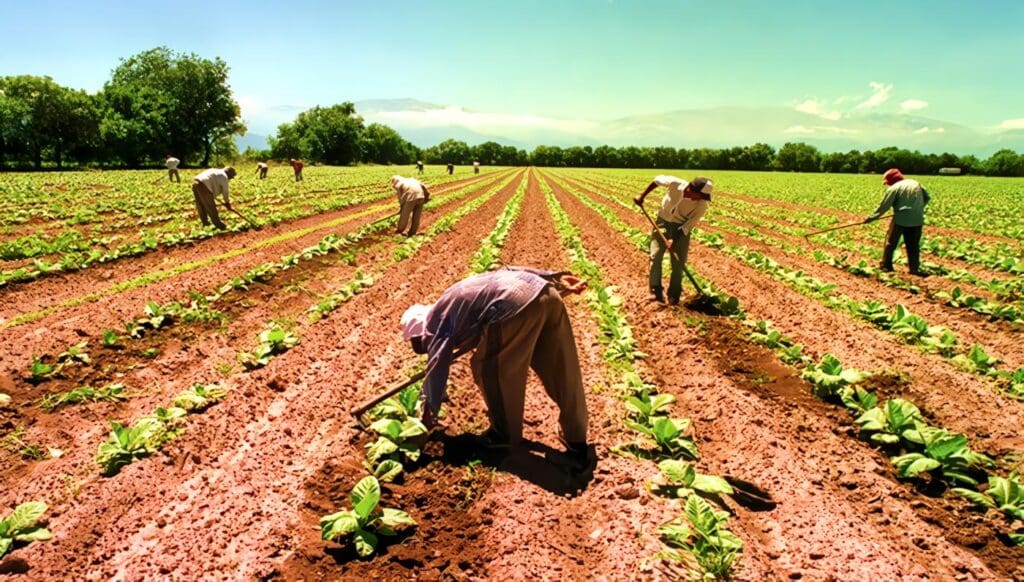 ¿Qué es la Economía Rural?