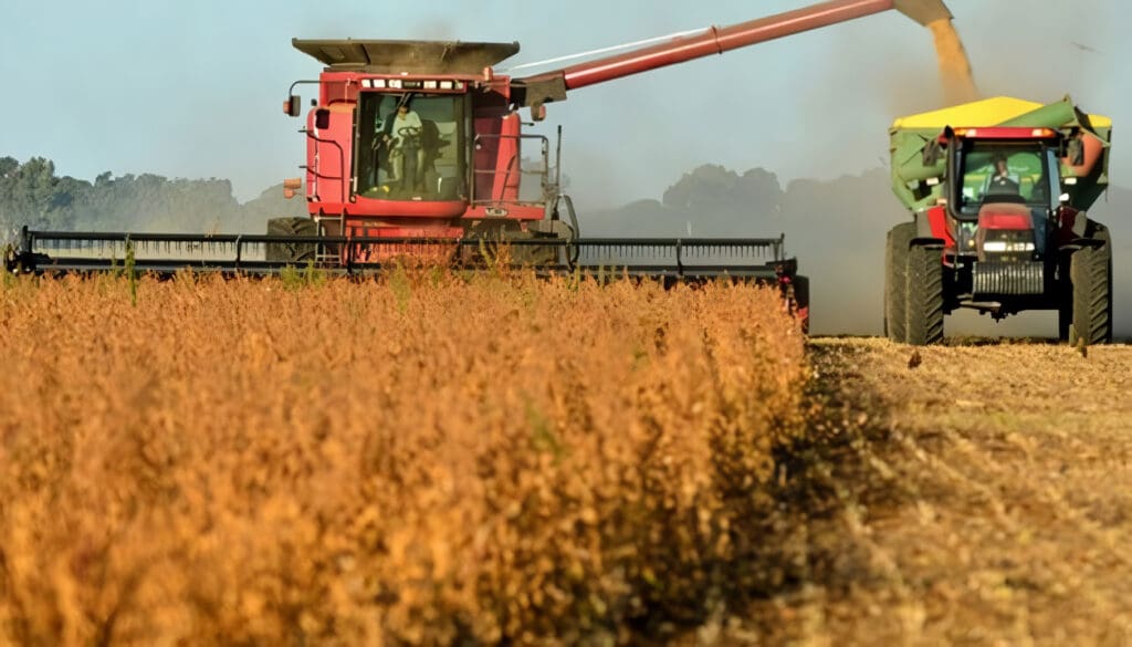 Economía Regional: qué es, cómo influye y sus beneficios
