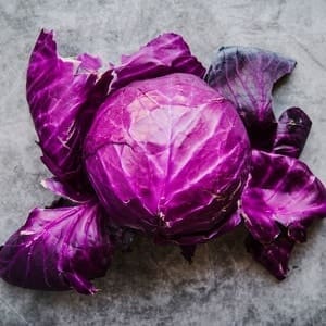 Repollo Morado