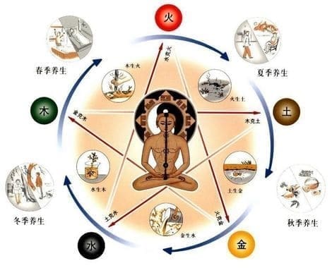 MTC medicina tradicional china