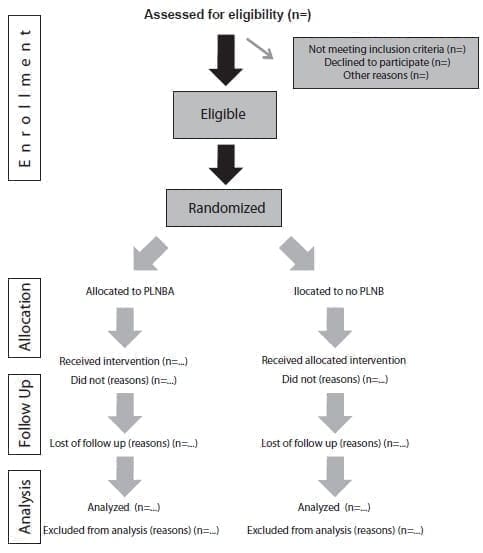 Flow diagram of the progress through the phases - Bloqueo Neural del Epiplón Menor Paragástrico