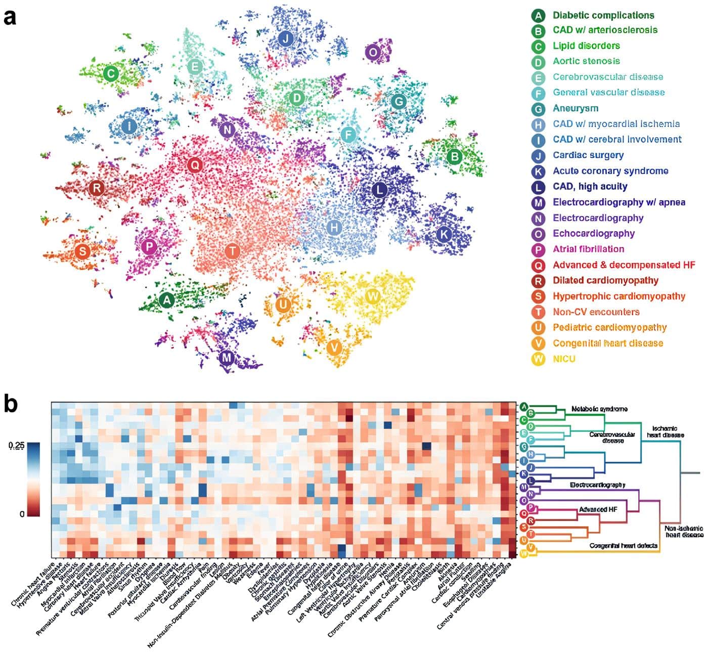 Visualización de centroides