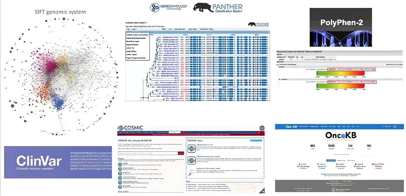 Datos genómicas como ClinVar, COSMIC y OncoKB