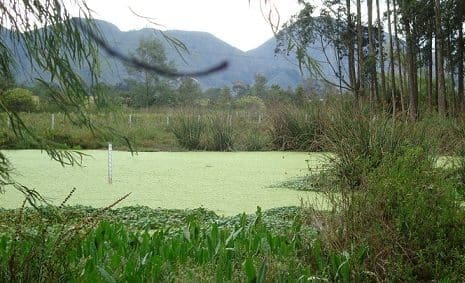 Humedal-de-la-Conejera.jpg