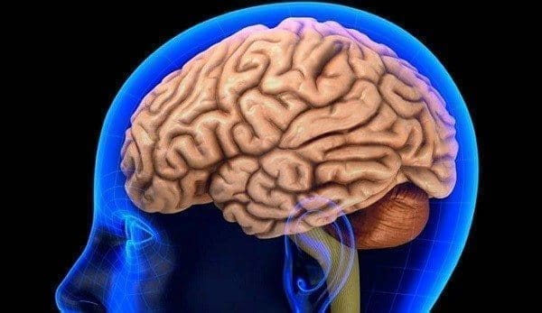 Artículo de Revisión: Hemorragia Intracerebral Espontánea