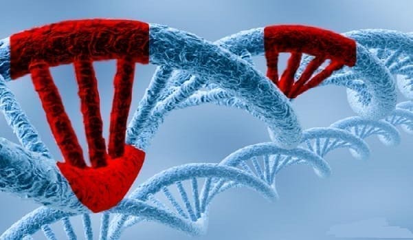 Menopausia BRCA Positivo y TH