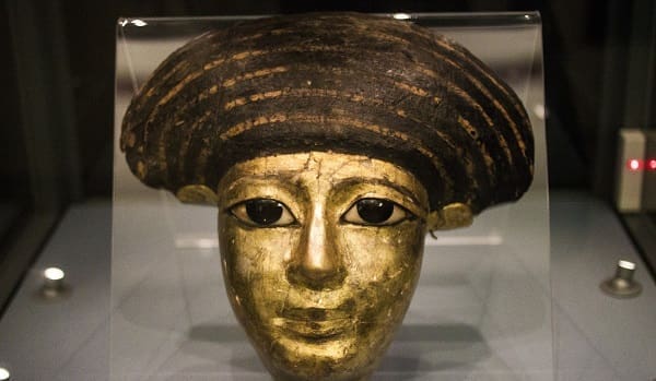 Guías de Museos en Bogotá, Presentación