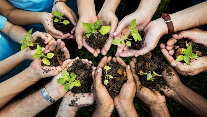 ¿Qué más podemos hacer para promover la Educación Ambiental?